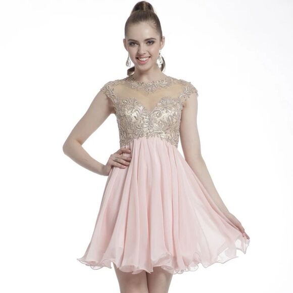 Cinderella Devine Pink Blush Short Embellished A line Chiffon Dress Sz 6 - Picture 1 of 7